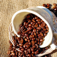 Coffee Beans and the Best Way to Buy